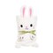 Easter Bunny Rabbit Cute Children's Throw Foldable Ultra-Soft For Kids